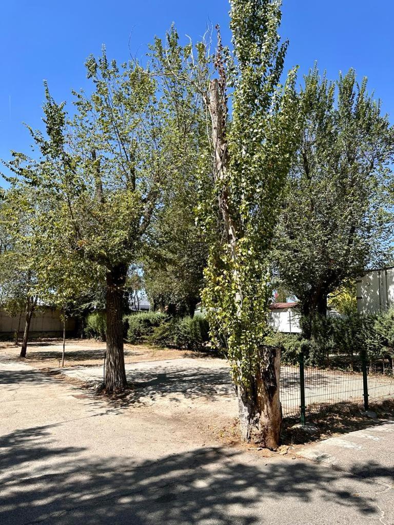 Bungalows Alpha Getafe Exteriör bild