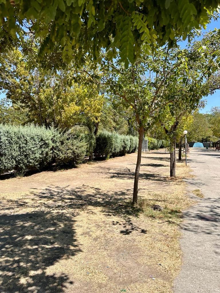 Bungalows Alpha Getafe Exteriör bild