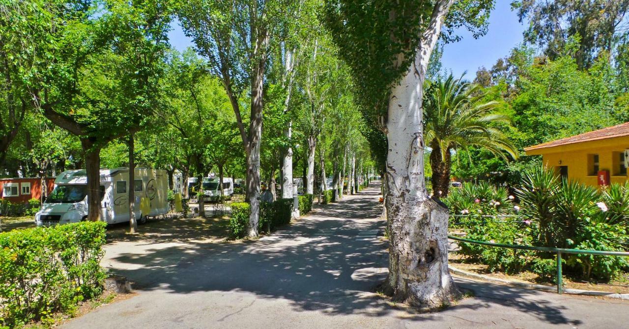 Bungalows Alpha Getafe Exteriör bild